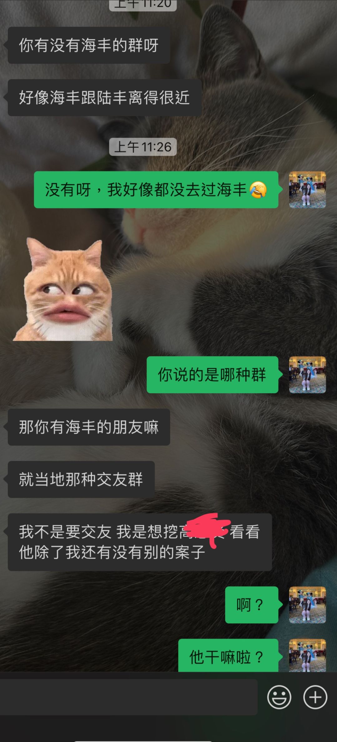 关于我朋友谈恋爱被骗了几十万