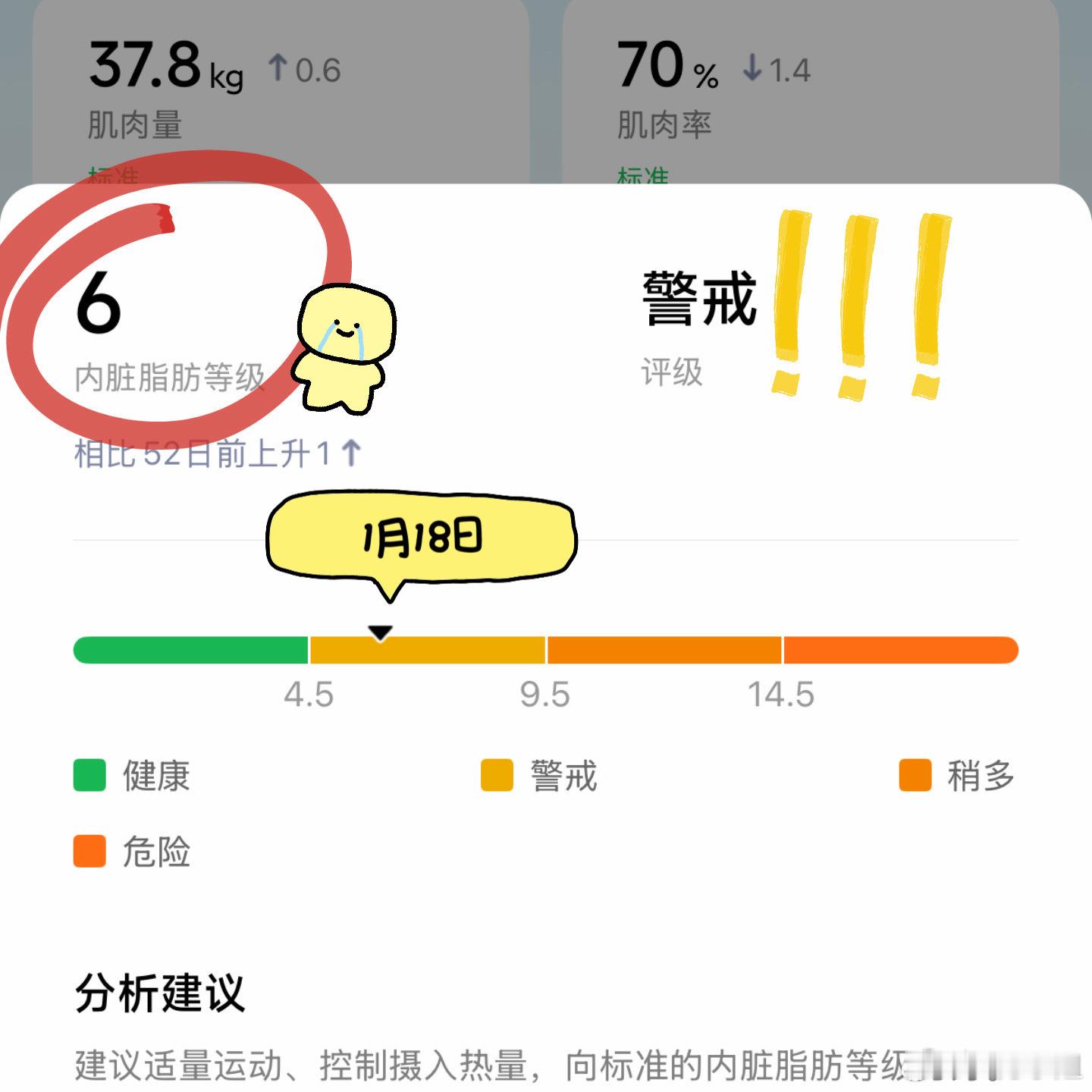 40天！！！终于把我的内脏脂肪等级给拉回了正常值！实在是太不容易了其实最初想要减