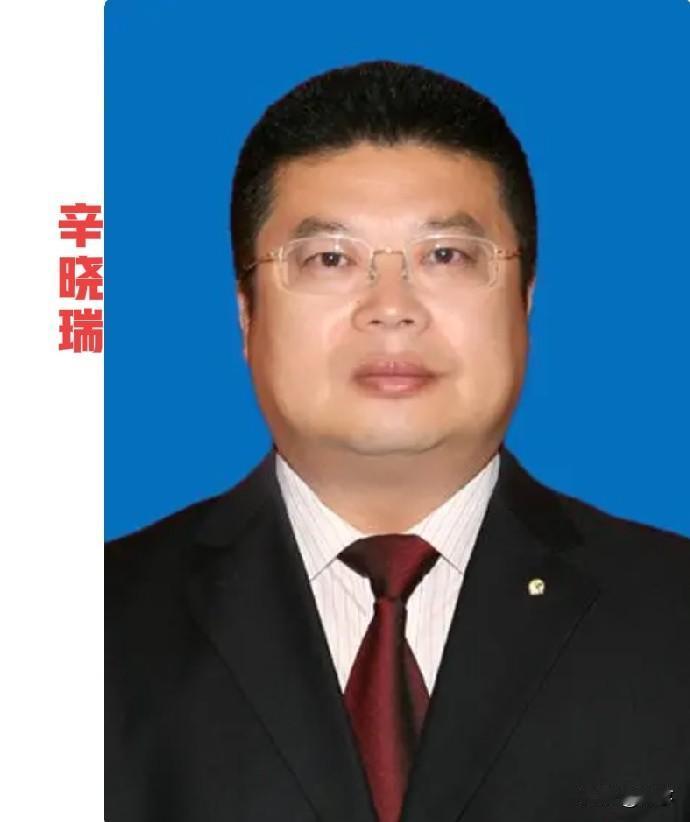 辛晓瑞接受审查调查：深耕组织系统30余年，最懂规矩的人为何失守底线？5月2
