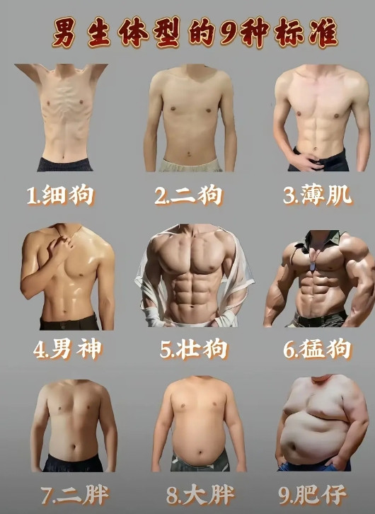 1和8占国内的百分之六十了？看来国家要施行减肥计划是应该的。