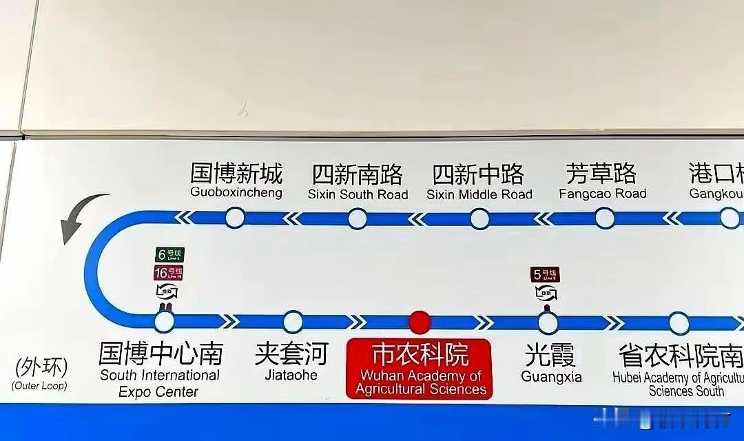 武汉地铁12号线真的要开通了！各个地铁站点都在完工还路，地铁线路图也出来了，