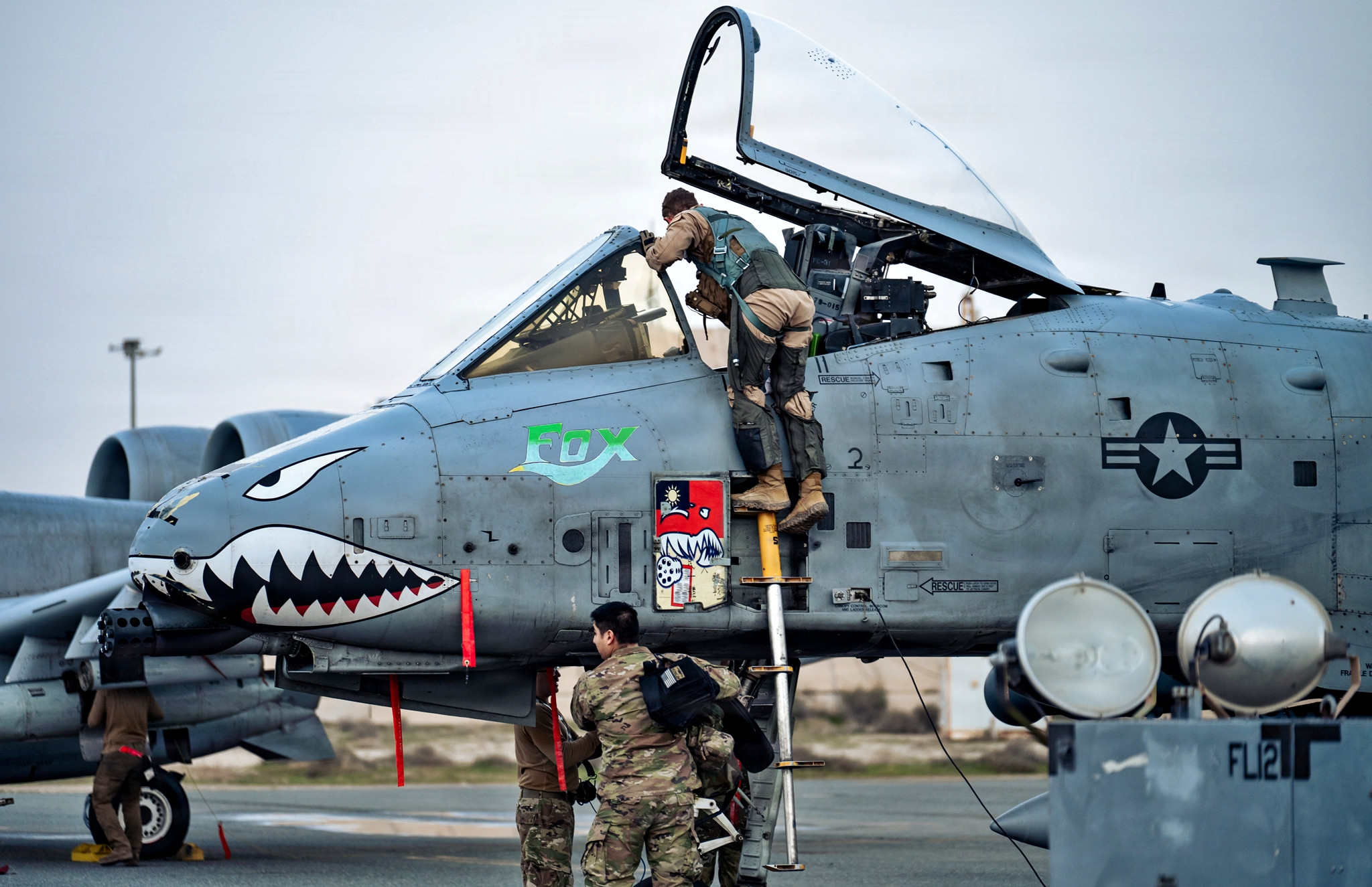 A-10疣猪登机梯收纳盖上的“飞虎队血符”涂装