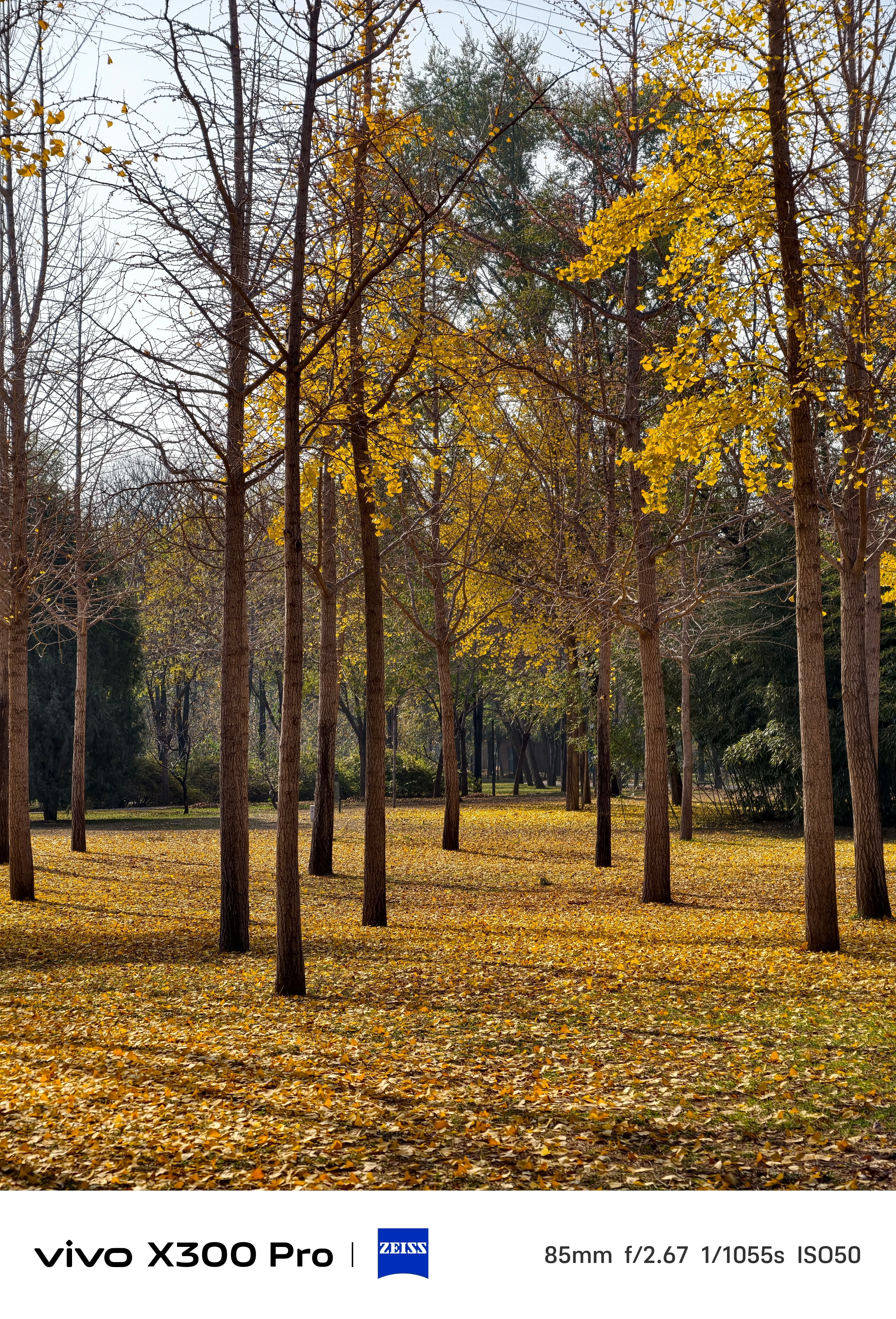 看到这张图，你能想到什么⁉