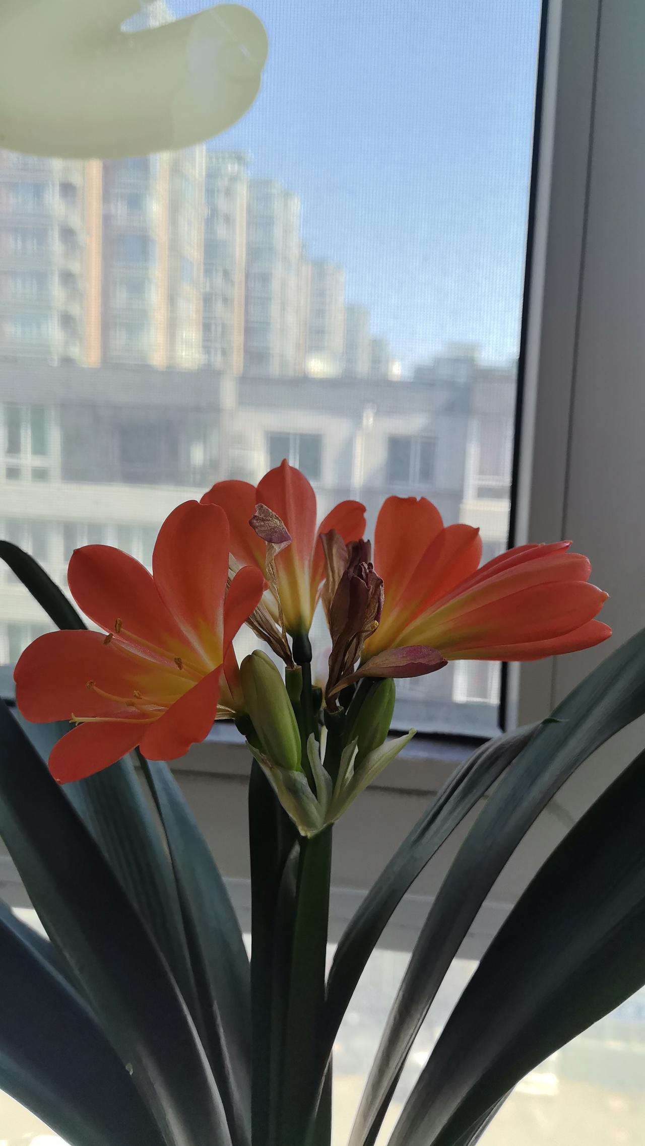 谁懂，给解读下！今年高考录取规则也有多项对考生有利的变革，全国所有本科高校统一