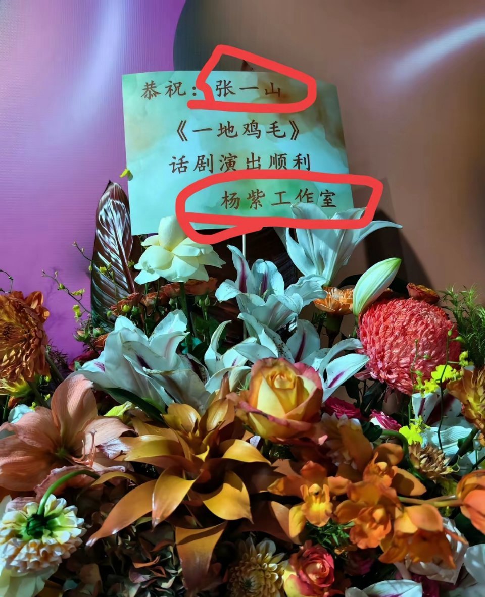 看杨紫父亲抱张一山笑的样子我就知道我的担心是多余的张一山话剧《一地鸡毛》首场在北