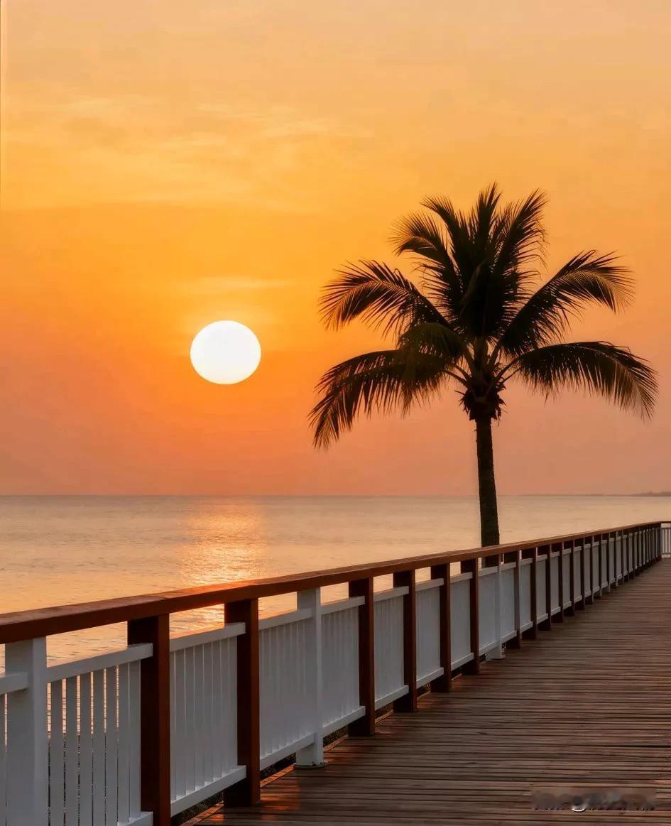 日落时分，海边的棕榈树与木栈道相映成趣，宁静而美好。