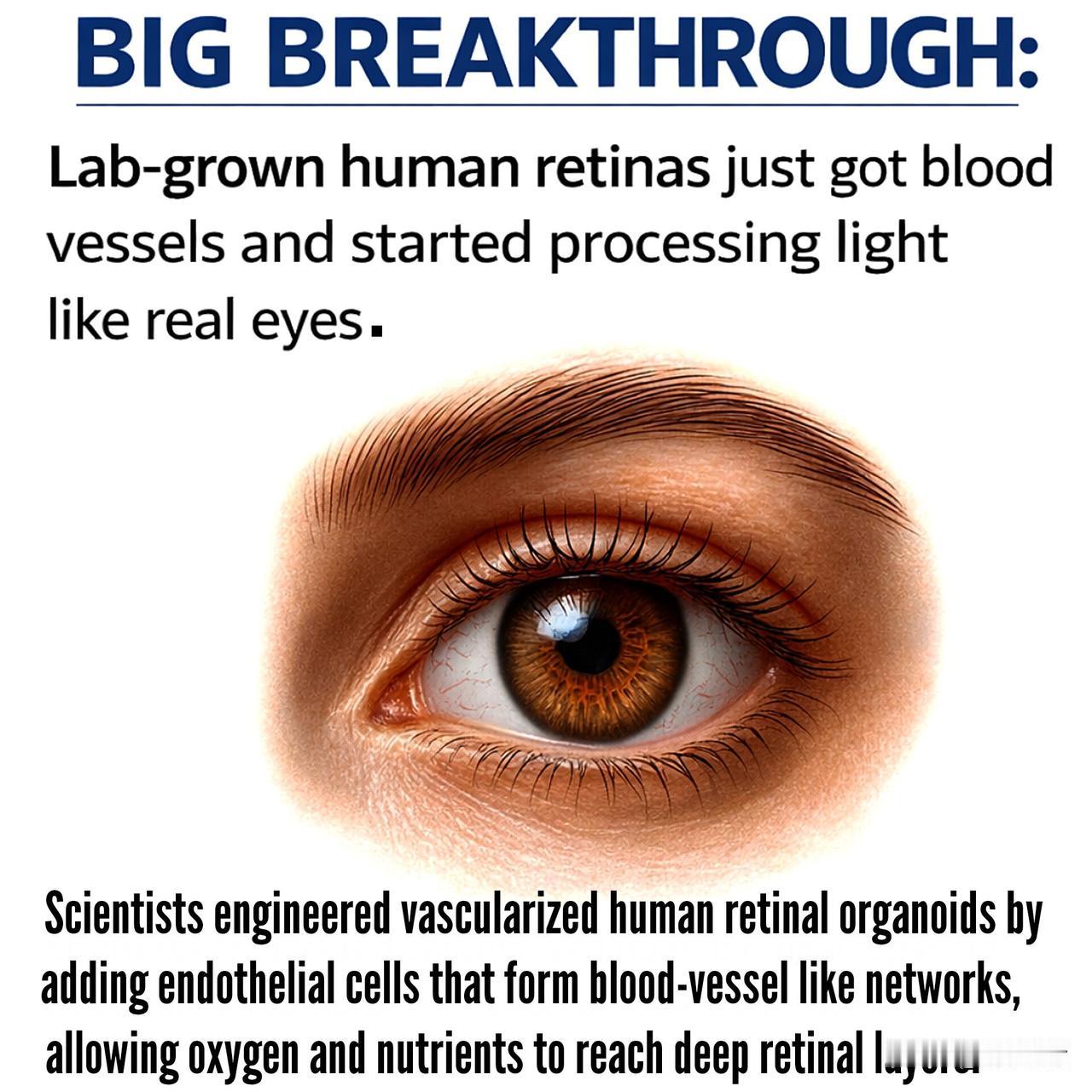 位于德国波恩的波恩大学医院(UKB)、波恩大学，以及位于瑞士巴塞尔的巴塞尔分子