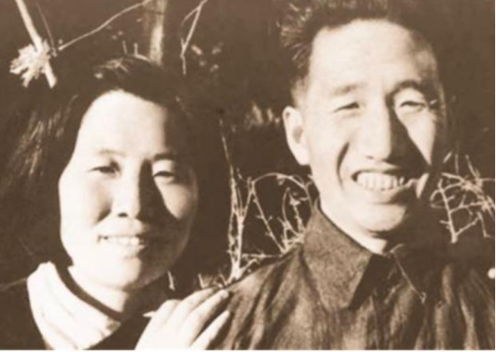 1951年，法军在越南北部和游击队作战时遭遇惨败，逐渐失去了对当地的控制力。利用