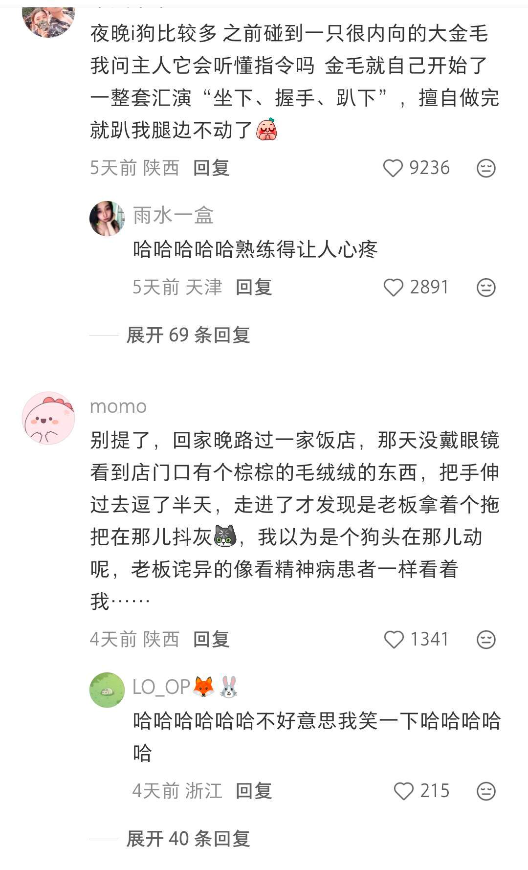 风浪越大鱼越贵，夜越深狗越大​​​