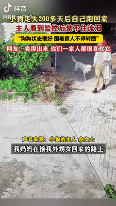 “意外的惊喜！”湖南一女子接外孙女放学的路上，突然看到有条狗跟着她的摩托车一直跑