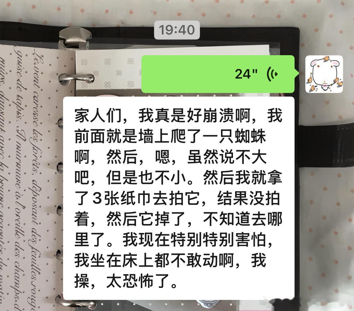 死蜘蛛​​​