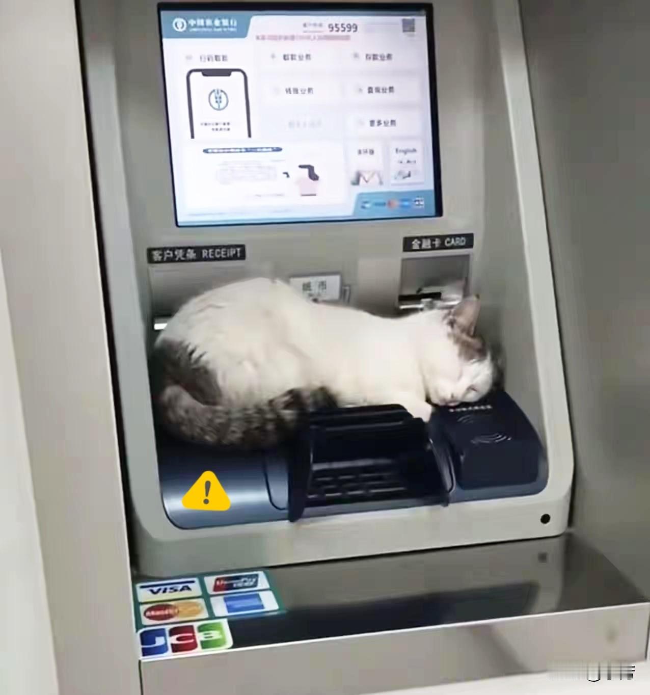 晚上去自动取款机上取钱发现有只猫咪正躺在机器上面睡觉猫咪不是很大正好能躺下