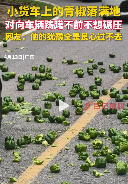4月13日，广东一条山路上，一辆小货车上面的青椒落了满地，小货车的车主为了不让交