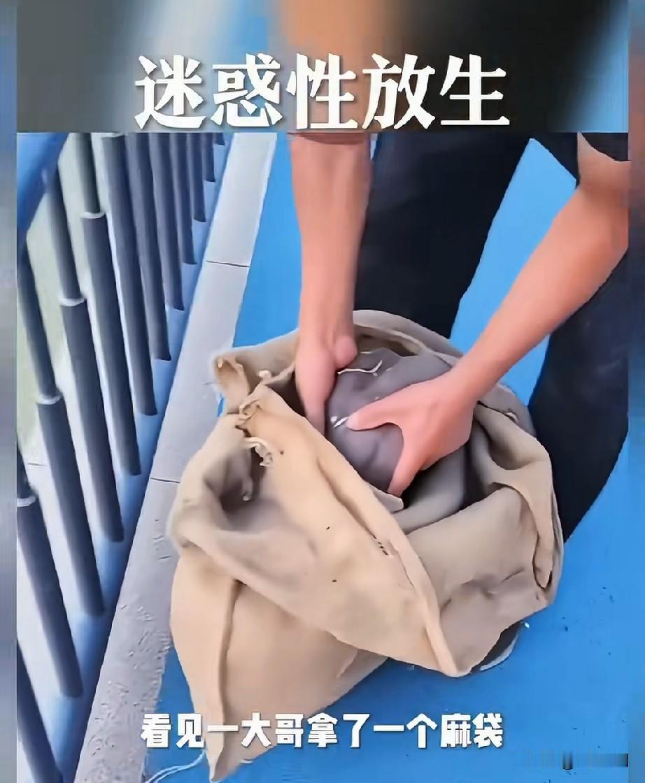 这是真善还是伪善，有人拍到一位大哥，花了上千元购买了一只人工养殖的娃娃鱼，拿到了