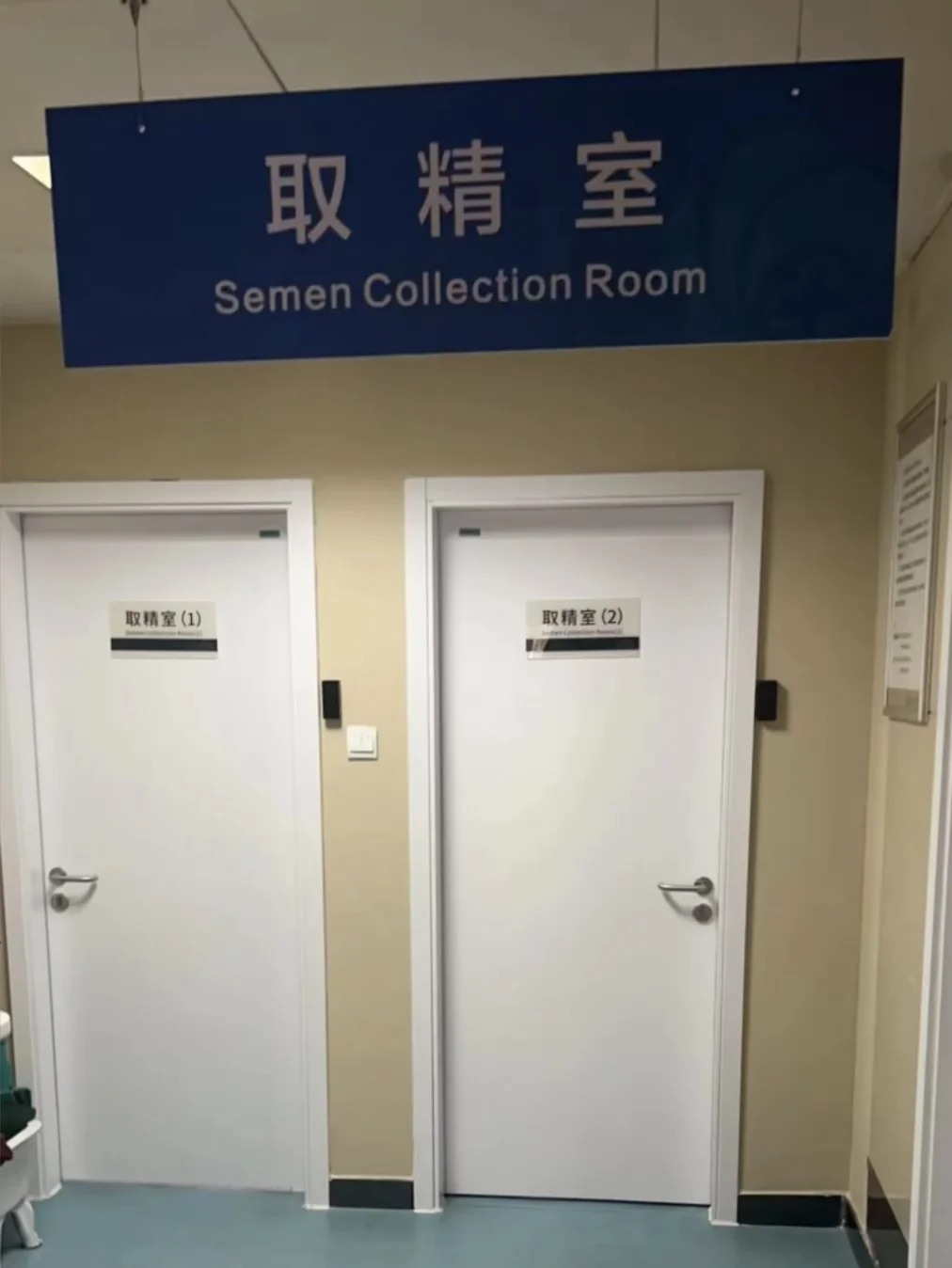 男士备孕前，小蝌蚪（取精）检查很重要