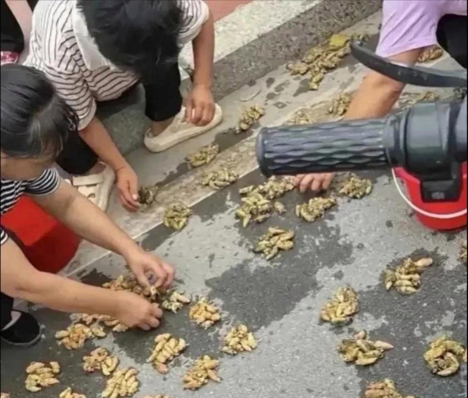这富裕程度，让我羡慕不已