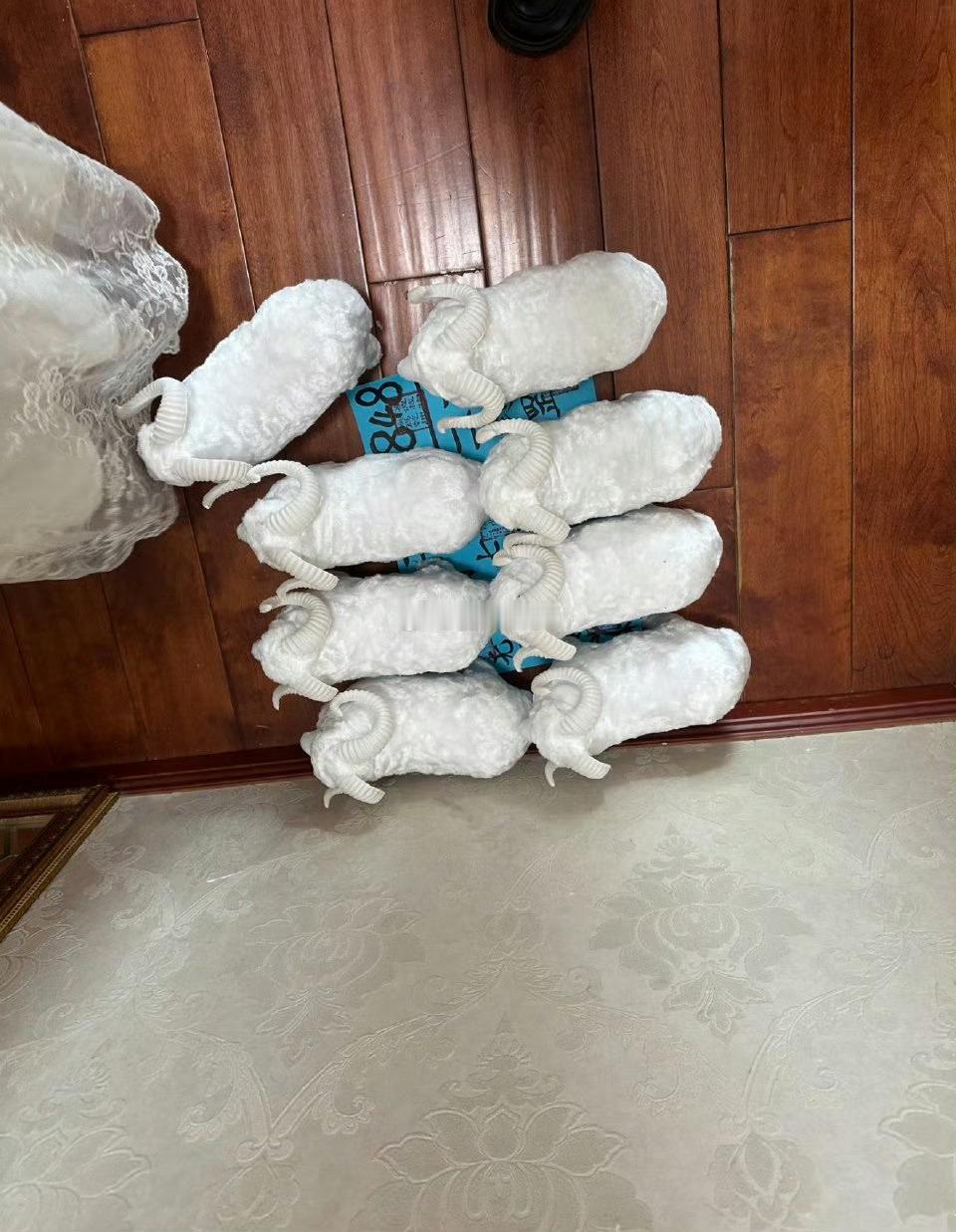 租房房东摆的这些是什么意思可以清理吗？​​​​