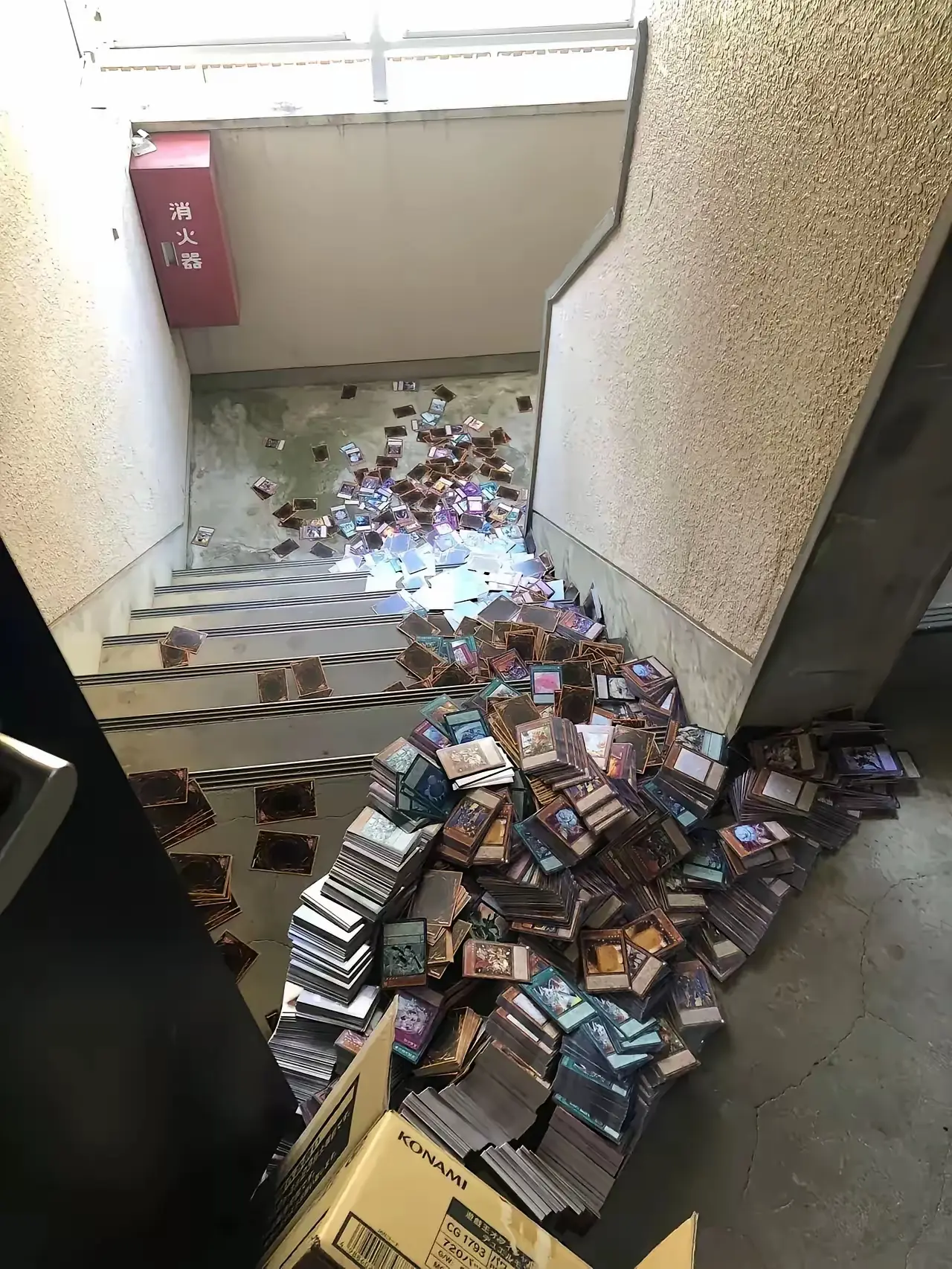 这一大堆游戏王卡片是谁扔的？