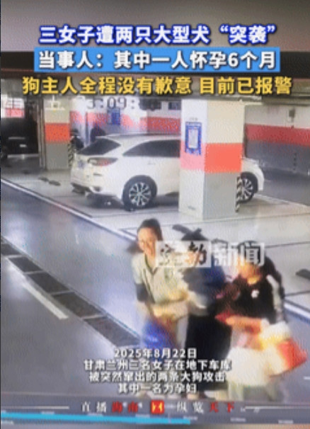 严惩不贷！甘肃兰州，三女子去地下车库取车，突然，有只大狗朝她们冲了过来，吓得两名