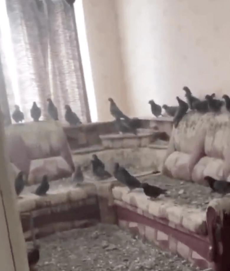 俄罗斯沃尔库塔（Vorkuta）一名中年男子，因工作离开公寓三年，近日返回时惊见