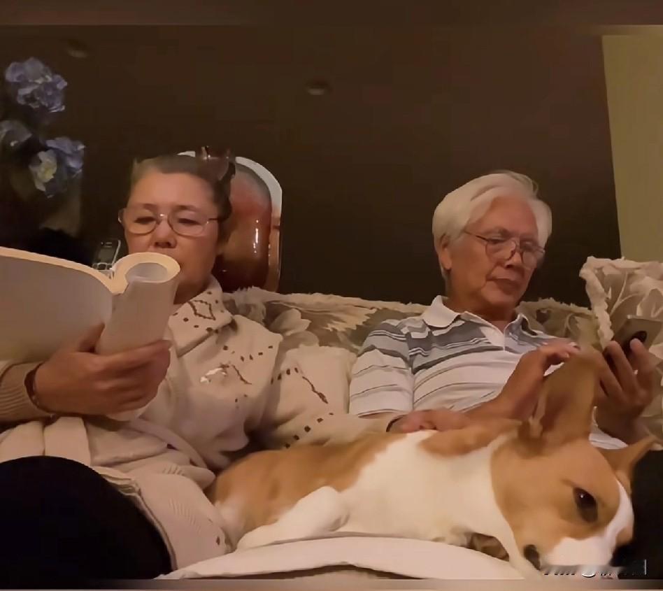看看人家，70岁姜黎黎和汪宝生，硬是把寻常日子过成了让人羡慕的连续剧，还是温情治