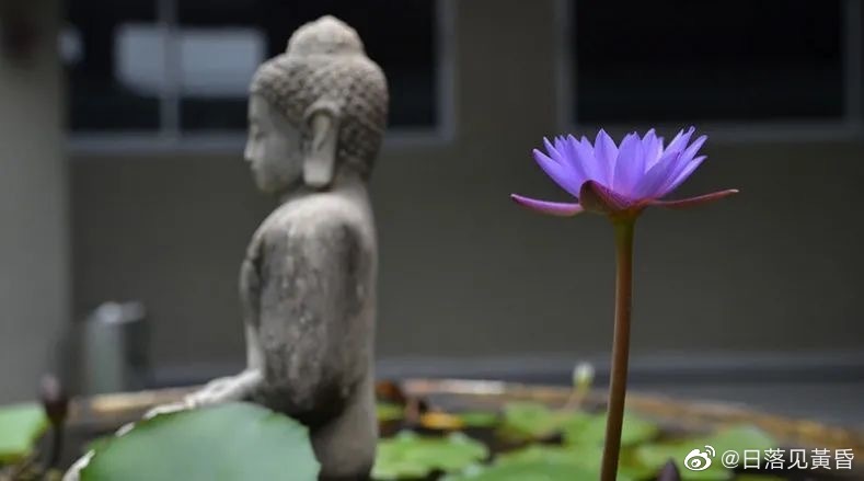 玄学提醒1．出门若觉得门没锁，别犹豫立即返回，说不定会躲过一些事情。2．如果到