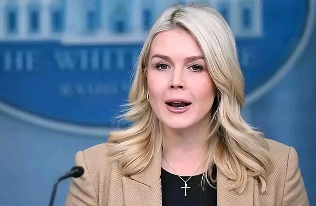 多国舰队破冰格陵兰北极的寂静正被打破。近日，丹麦一声邀请，犹如在冰层下投入一