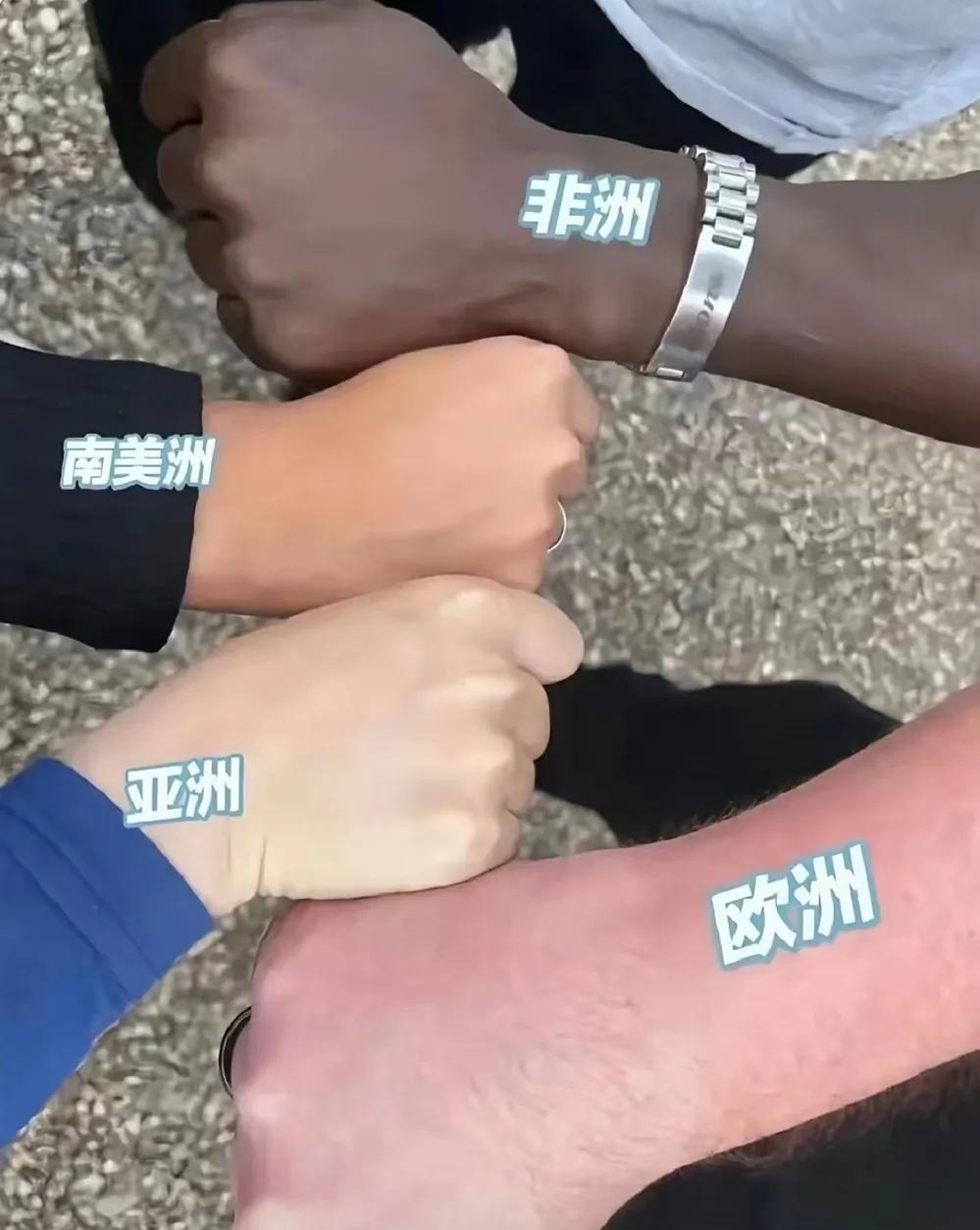 我早就发现这个问题了，其实东亚人的皮肤才是最白的，居然被他们称为黄种人，而所谓的
