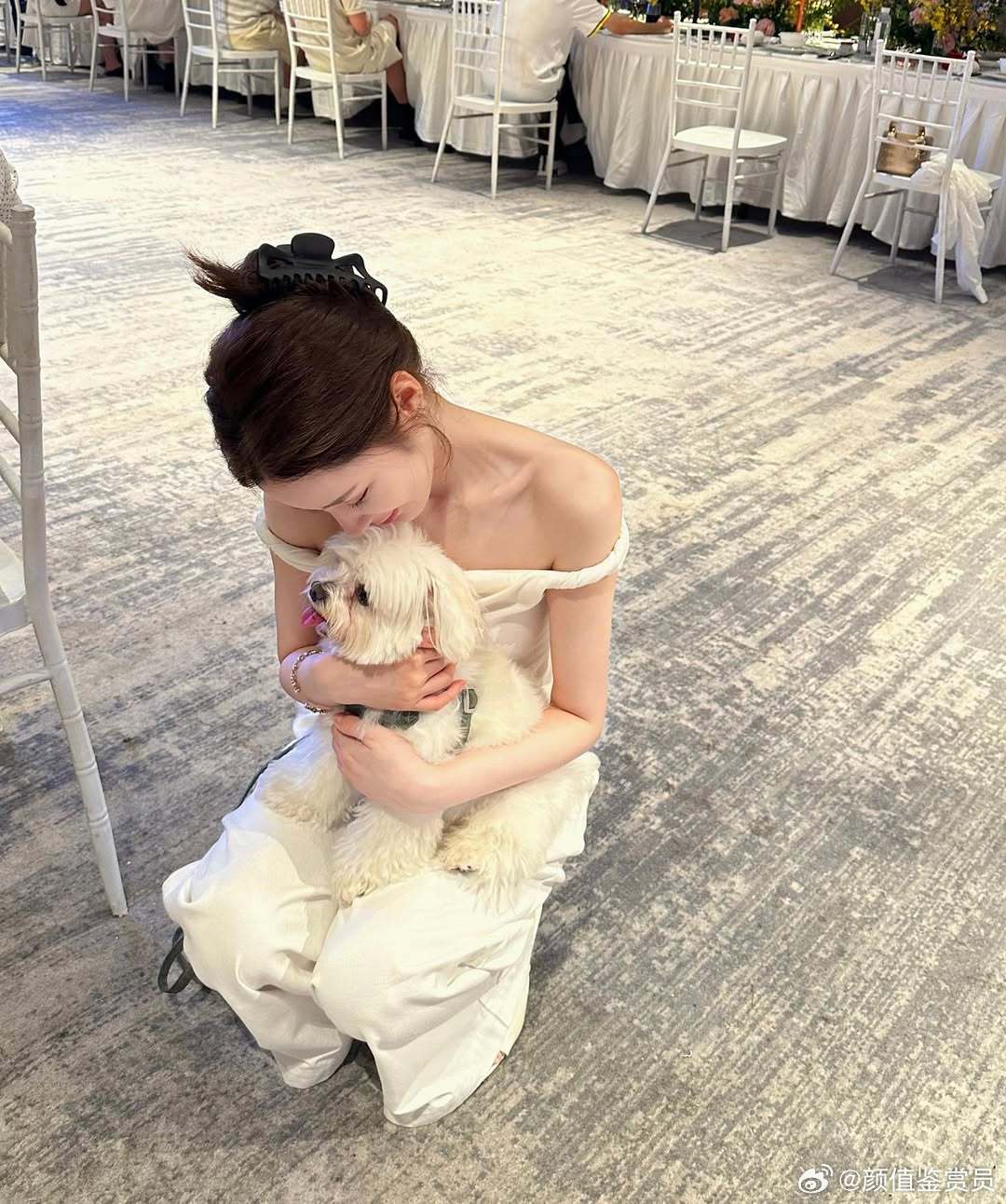 很难不爱小狗！！