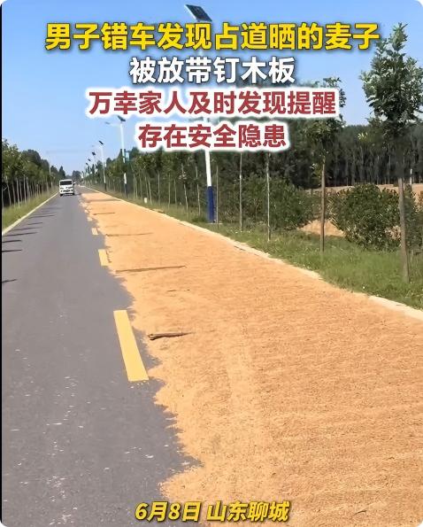 山东聊城，男子行驶在半路上，看到半边道上晒满了麦子，这时对面过来一辆车，男子错车