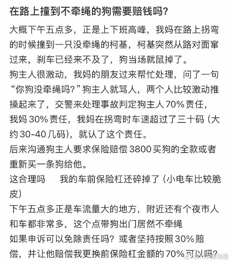 在路上撞到不牵绳的狗需要赔钱吗❓