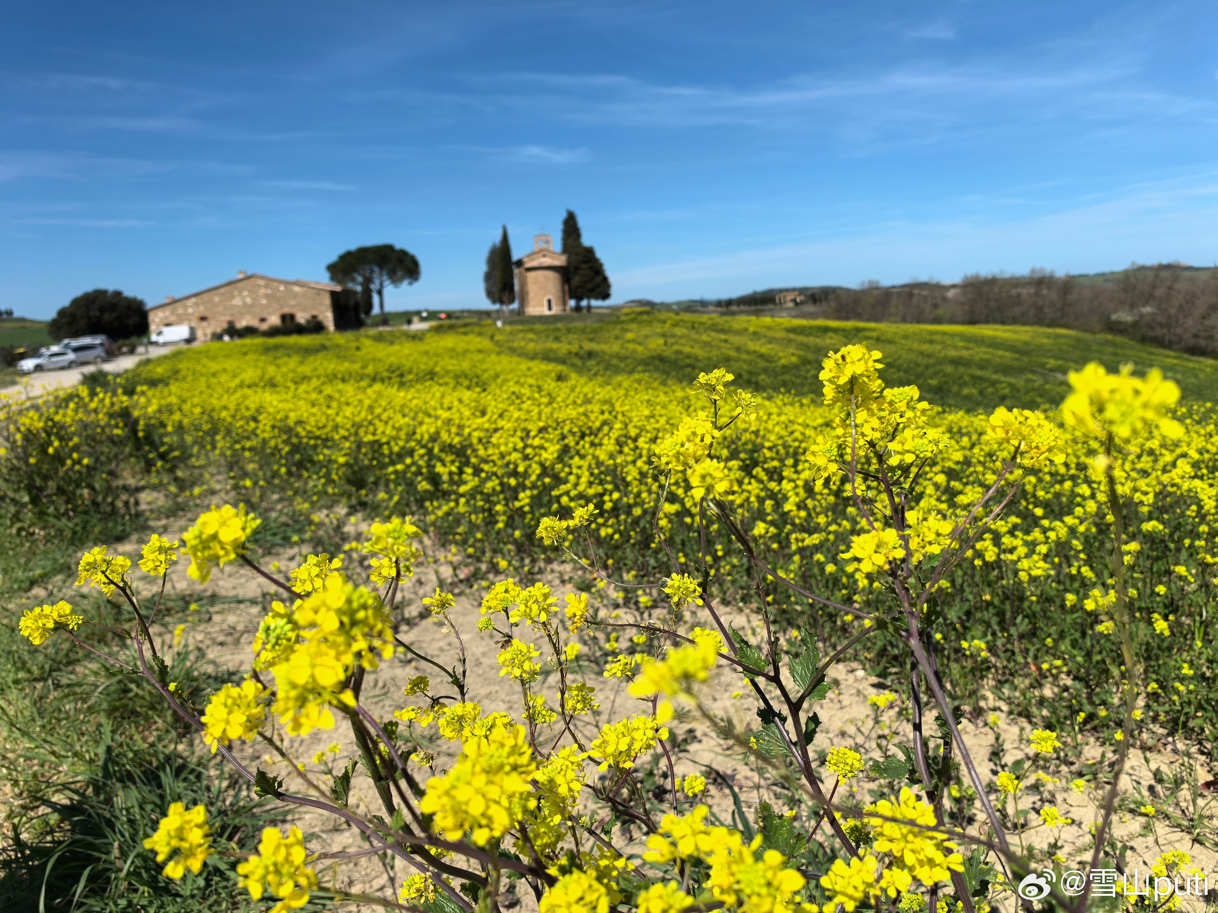 春天，春光，春色，旅行大巴恰如游船，行走在绿色的海洋里。会醉春吗？会的，如眼前