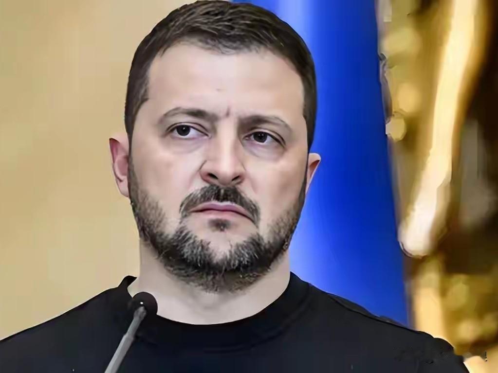 泽连斯基：这件事你们可能想不到，我们有这个能力解决！乌克兰总统泽连斯基1月2