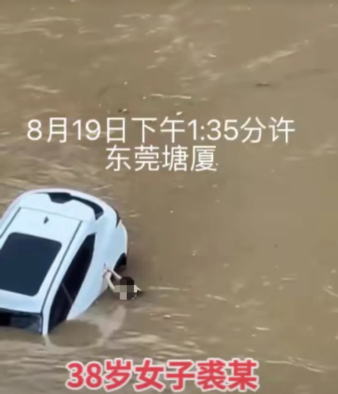 令人痛心的是，在2025年8月19日下午，38岁的女子裘某驾车时发生失误，冲入了