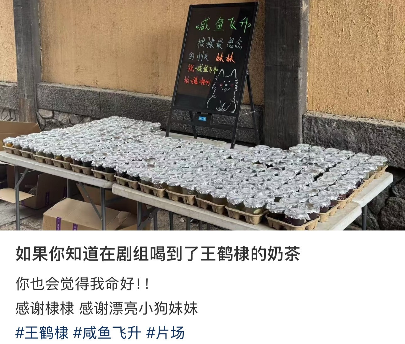 小狗妹妹请王鹤棣咸鱼飞升剧组喝奶茶[doge]​​​