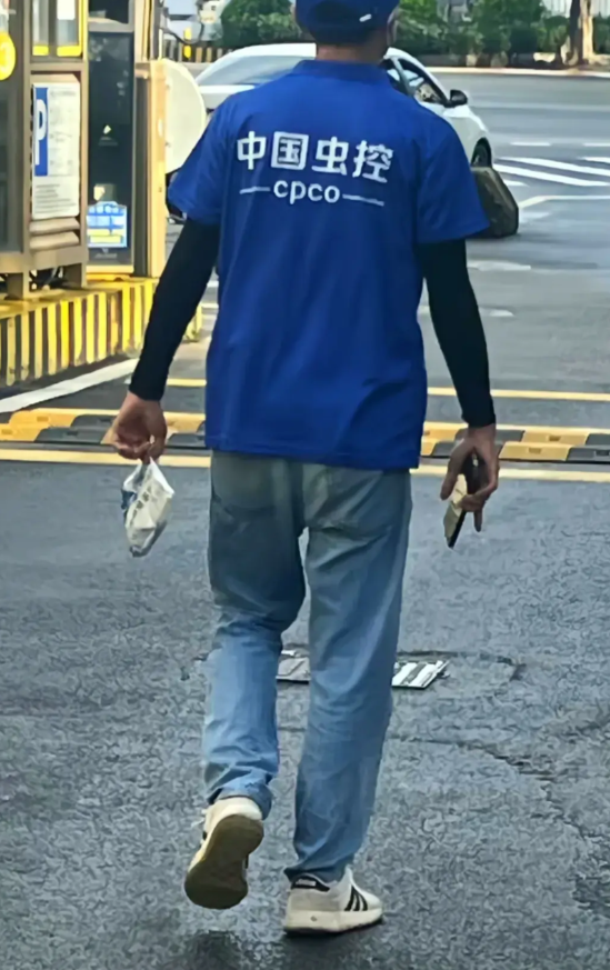 坐标广东佛山，惊现中国虫控——CpCO工作员工，现场指导灭蚊有人知道，这个中