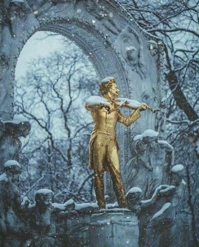 充满艺术气息的冬日维也纳，仿佛走进了电影中的世界！