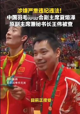 羽协4个月3核心被查，夏煊泽王伟同日落马，反腐或波及乒乓球？羽协4个月3核心全