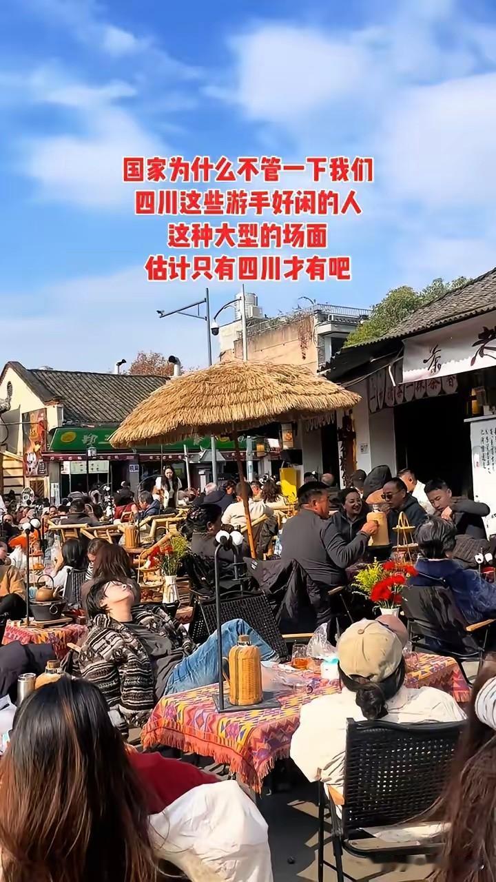 四川人让一些人不开心了，人家晒一下太阳还被扣上游手好闲的帽子，还想摇国家来管！