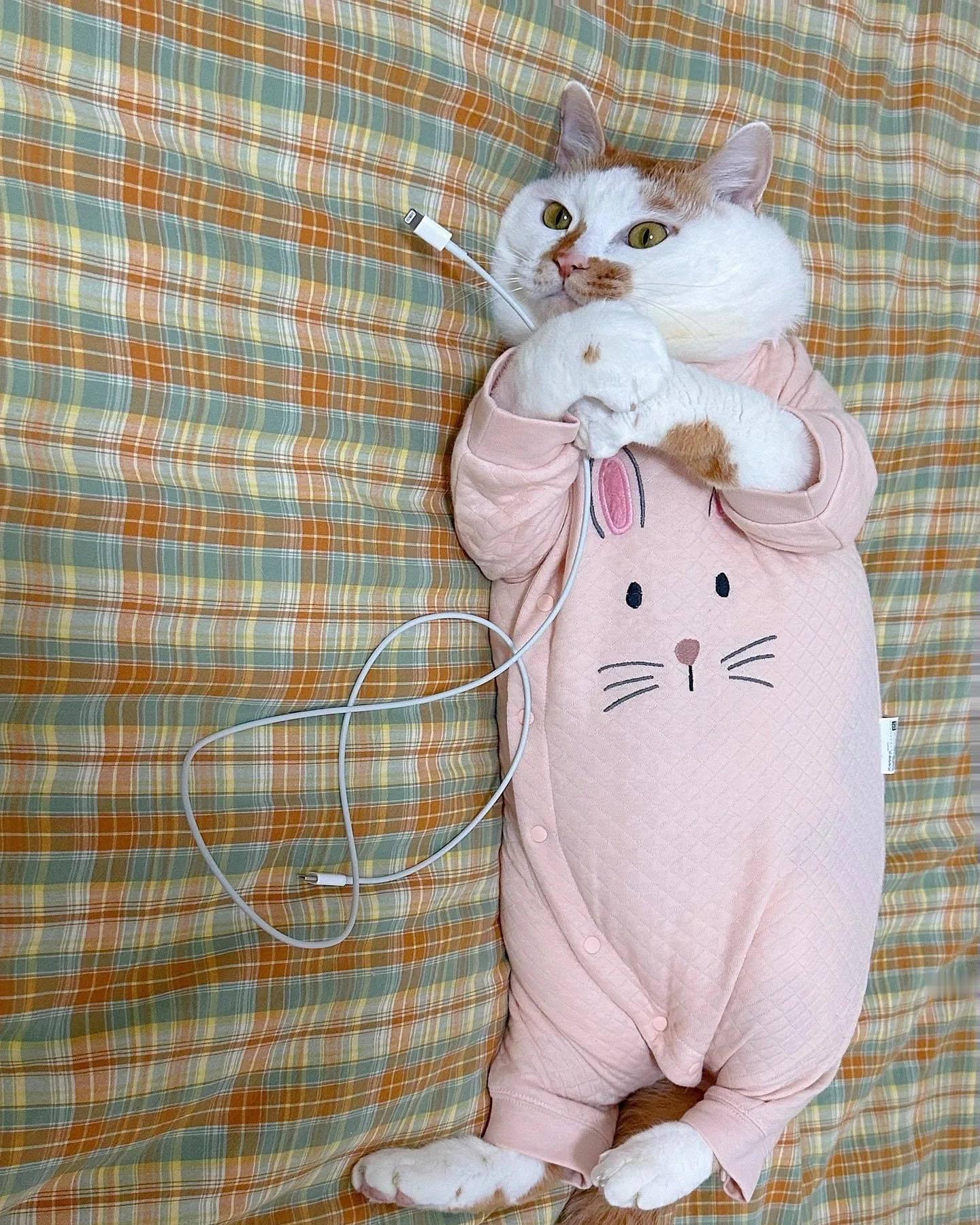 天冷了多穿点衣服