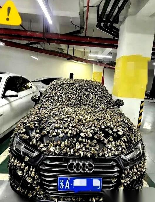 自家花十几万买的车位，一回家，上面停了辆陌生的白车。没留电话，没贴条。车主想着