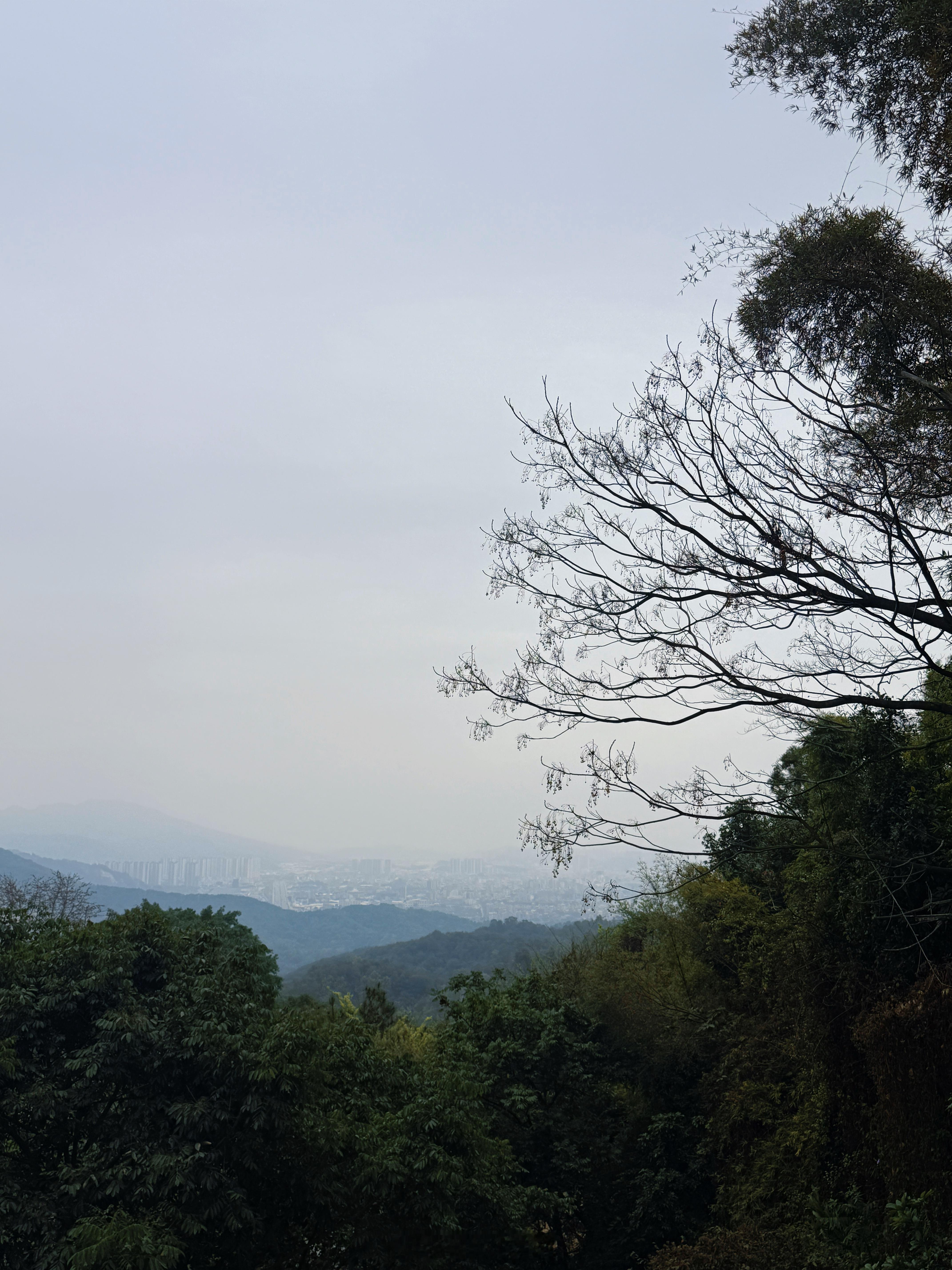 如愿🙏潮州·别峰古寺