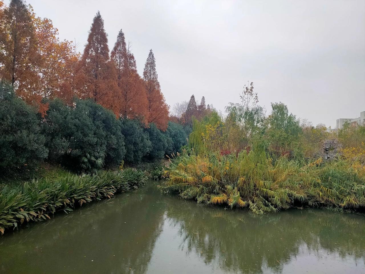 同一处风景，不同的色彩与风光。前面三张照片，是水中的这一块小洲秋天时的景色。