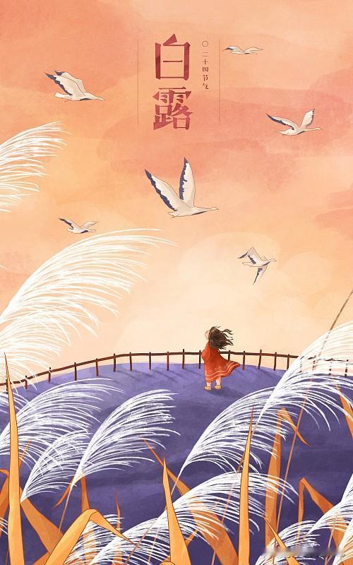 “白天白露，热死牛；夜晚白露，把扇丢”，今年白露在几点？9月7号就是白露了。