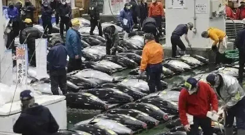 果不其然。中国方面突然宣布了暂停进口日本水产品的安排。先把时间往前挪