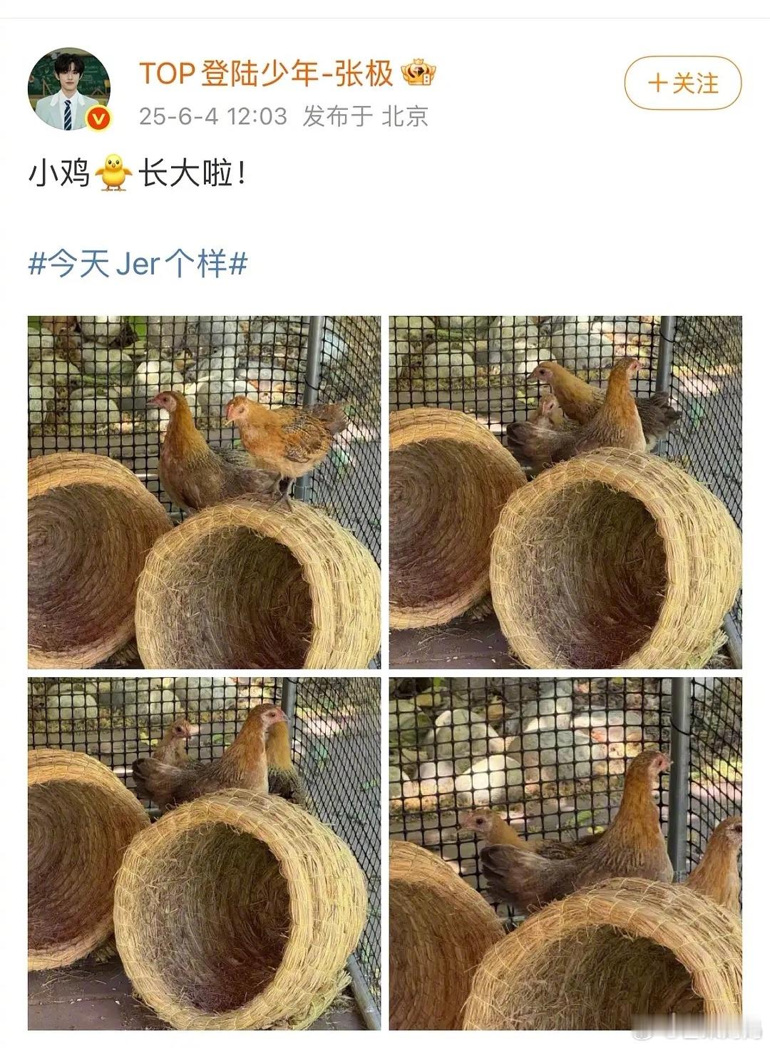 楼私生笑话永远在更新。。。楼三代后院养的小鸡，私生翻进去问有没有人要，而且之前已
