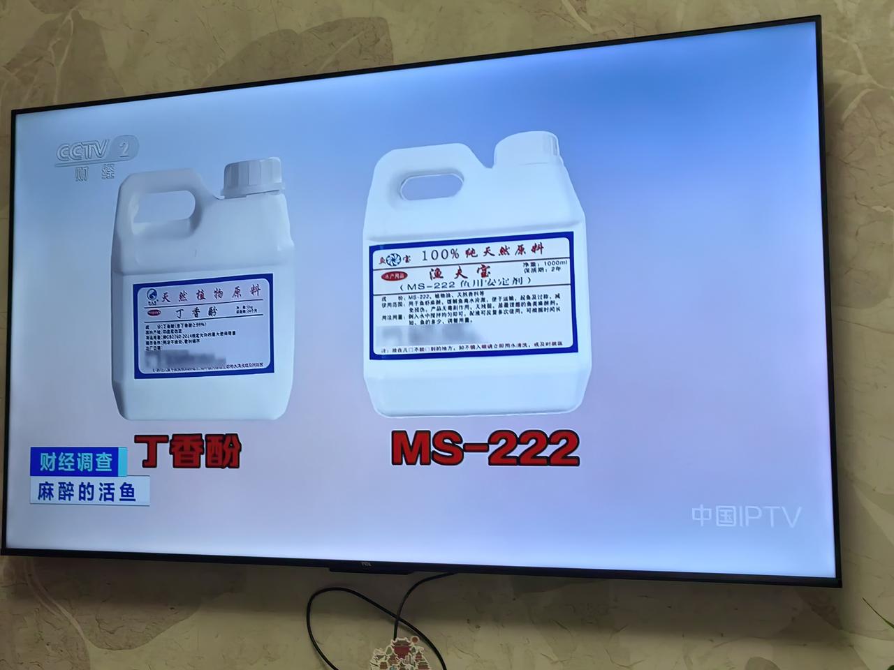 活鱼竟被“麻醉”上市。今天看央视《财经调查》，近期曝光水产行业隐