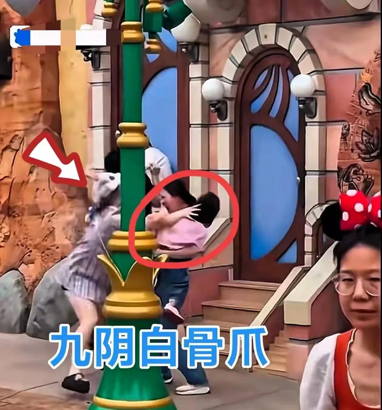 上海迪士尼情侣打一家三口事件，真的很火啊！格子女男友对白衣男子锁喉，格子女伸出