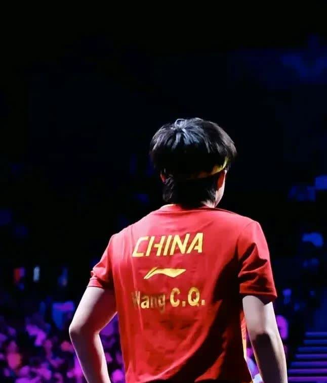 有些事可能是我狭隘了吧。樊莫二人庆祝巴黎周年时，我心里就是很不是滋味，是有些扎心