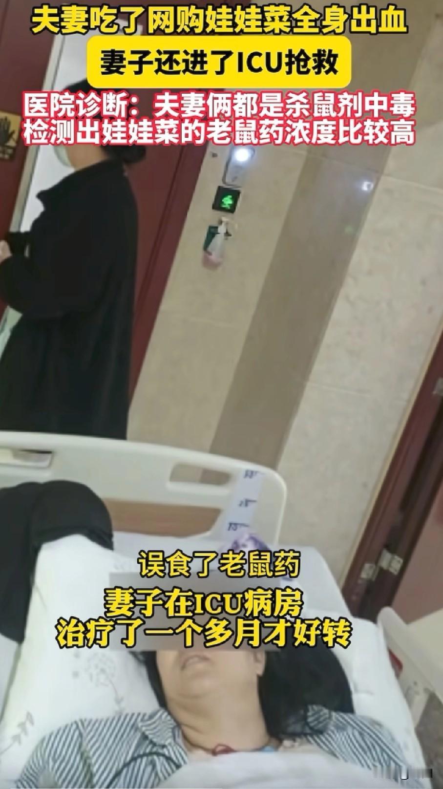 浙江一对夫妻吃了娃娃菜全身出血！妻子还进了ICU抢救！妻子：“刚开始是我的鼻